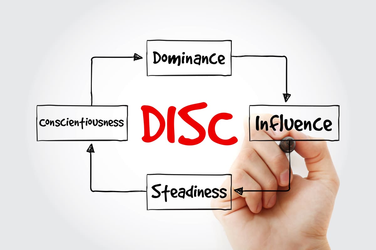 DiSC profile diagram with different disc styles